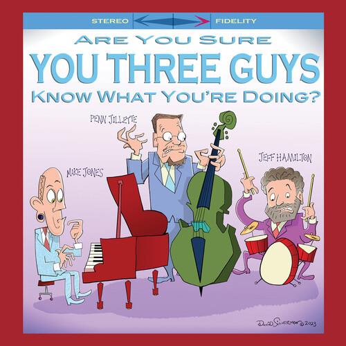 Are You Sure You Three Guys Know What You're Doing? - Vinyl LP