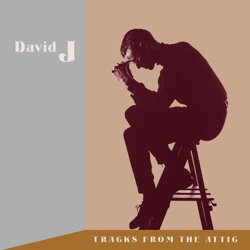 Tracks From The Attic - Vinyl LP (Brown)
