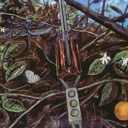 Illustrated album cover featuring a dragonfly, guitar, and white butterfly among branches