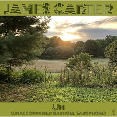 Un (Unaccompanied Baritone Saxophone) - Vinyl LP