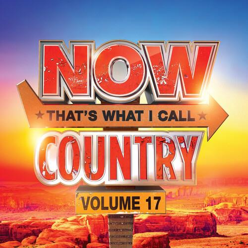 NOW Country 17 (Various Artists) - Vinyl LP
