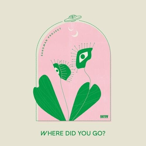 Where Did You Go - Vinyl LP