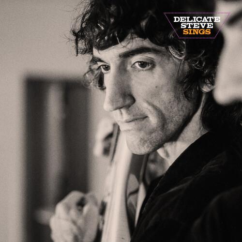 Delicate Steve Sings - Vinyl LP