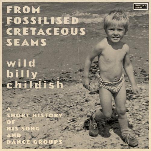From Fossilised Cretaceous Seams: A Short History Of His Song And Dance Groups - Vinyl LP