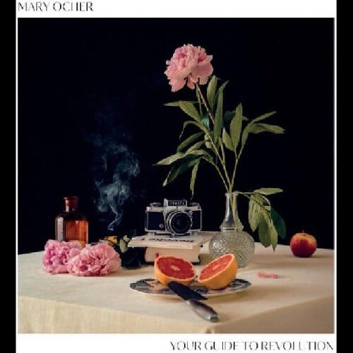 Your Guide To Revolution - Vinyl LP