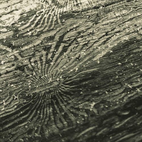 Talan - Vinyl LP