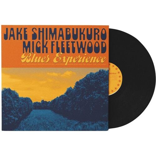 Blues Experience - Vinyl LP 180 Gram