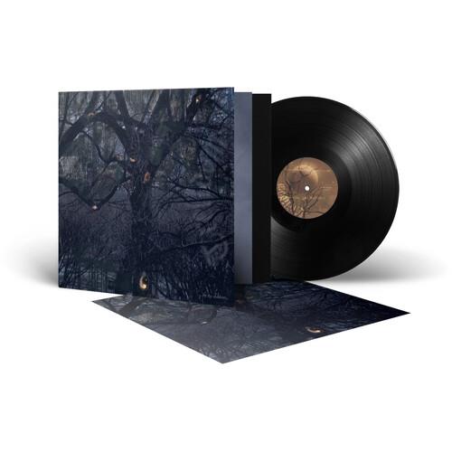 ...by the Shadows... - Vinyl LP
