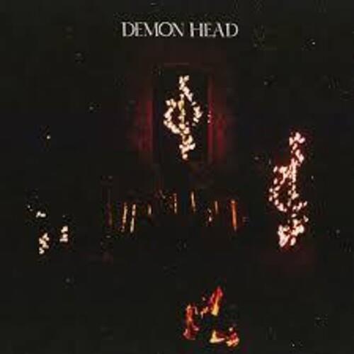 Through Holes Shine The Stars - Vinyl LP
