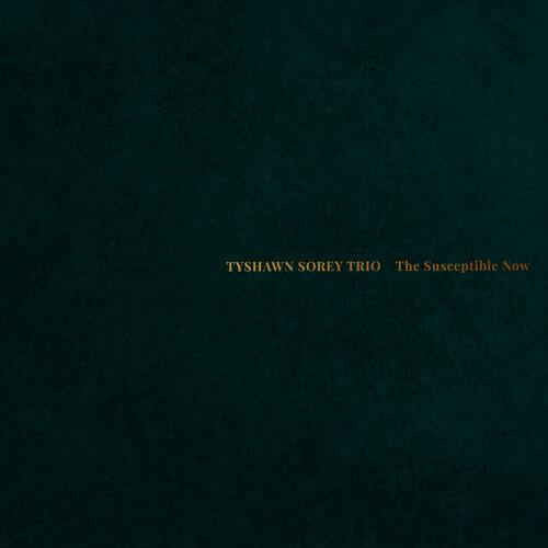 The Susceptible Now - Vinyl LP