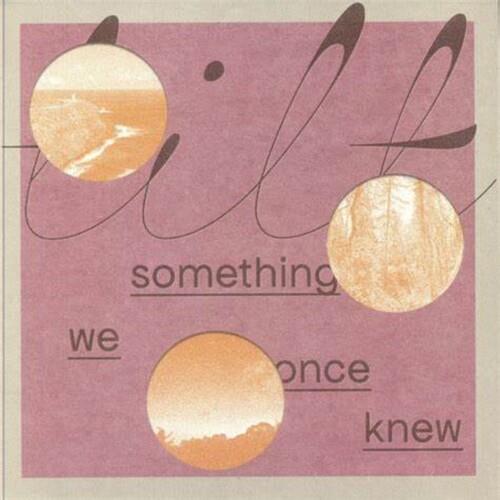 Something We Once Knew - Vinyl LP
