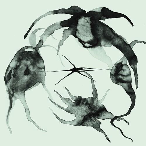 A Rift In the Horizon's Wall - Vinyl LP