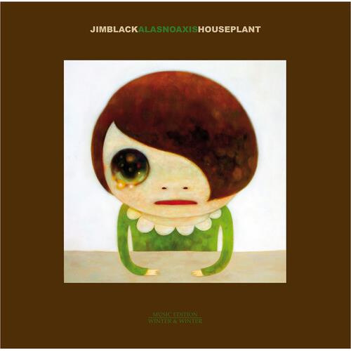 Illustrated character with brown hair and a green dress on a brown album cover