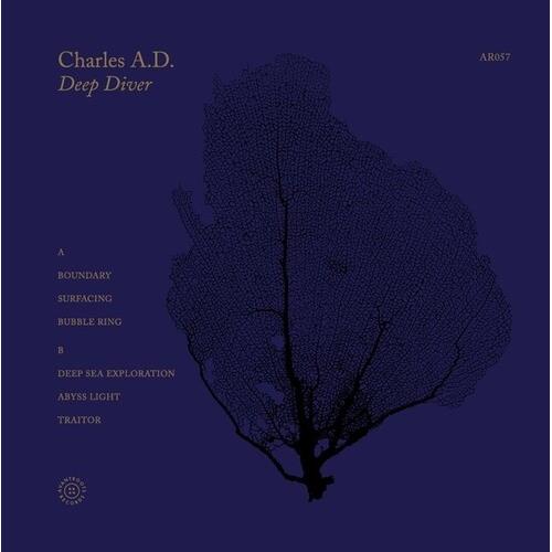 Deep Diver - Vinyl LP
