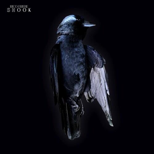 Shook - Vinyl LP