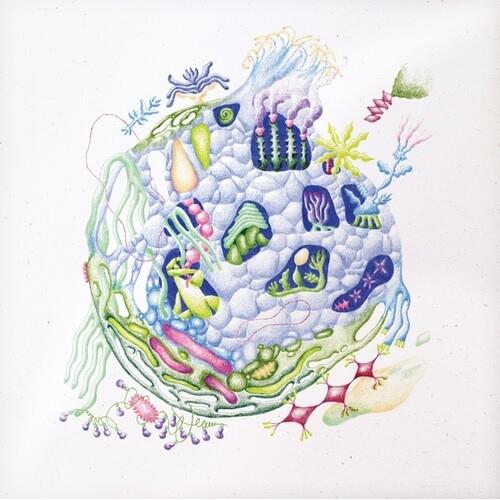 Binnenin - Vinyl LP