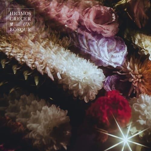 Hicimos Crecer Un Bosque - Vinyl LP