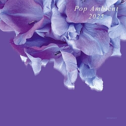 Pop Ambient 2025 - Vinyl LP