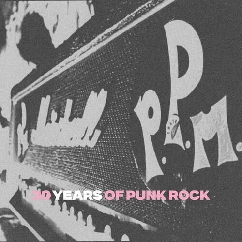 30 Years Of Punk Rock - Vinyl LP