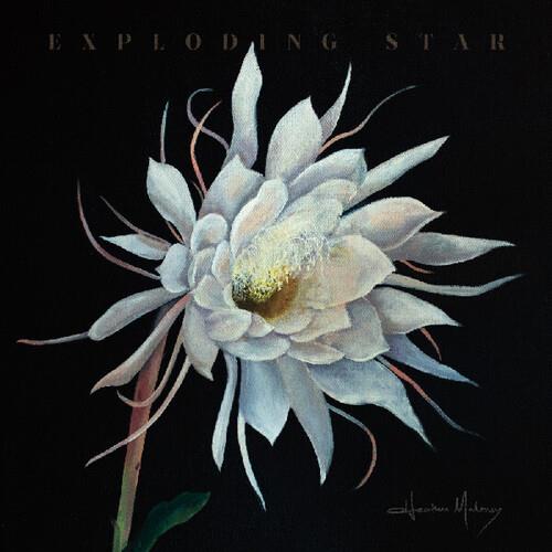 Exploding Star - Vinyl LP