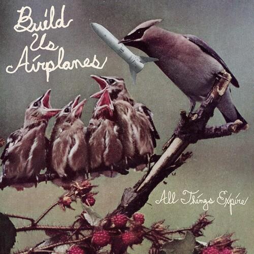 All Things Expire - Vinyl LP