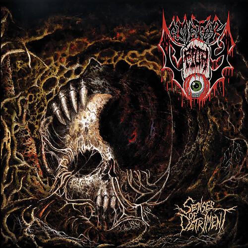 Senses Of Detriment - Vinyl LP