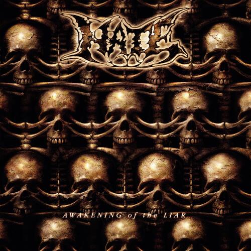 Awakening of the Liar - Limited Edition Vinyl LP