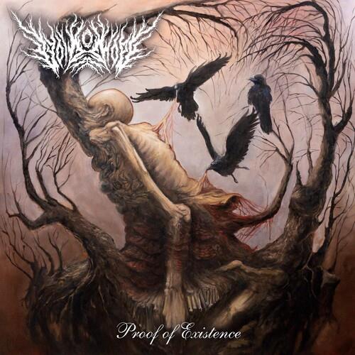 Proof Of Existence - Vinyl LP