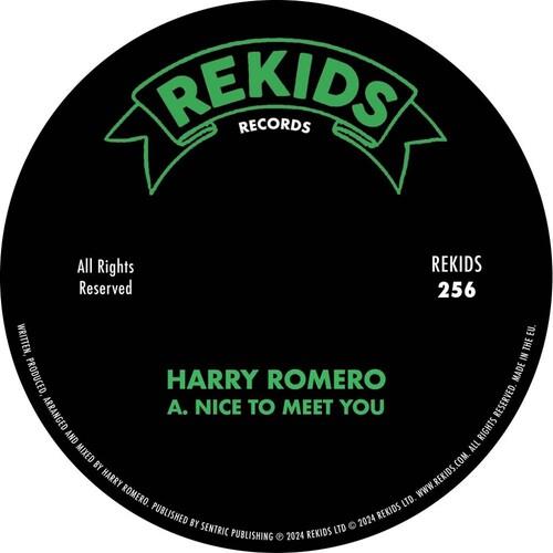 Nice To Meet You - 12-Inch Single