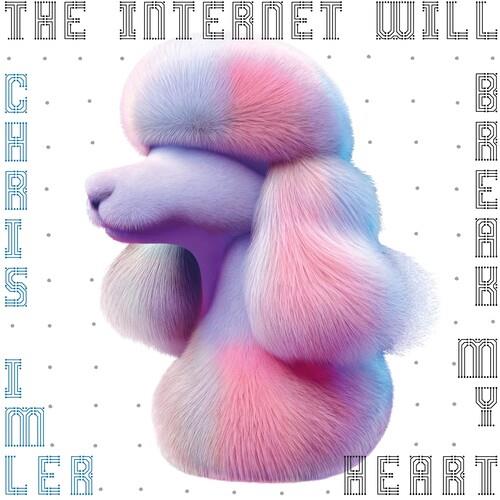 The Internet Will Break My Heart - Vinyl LP