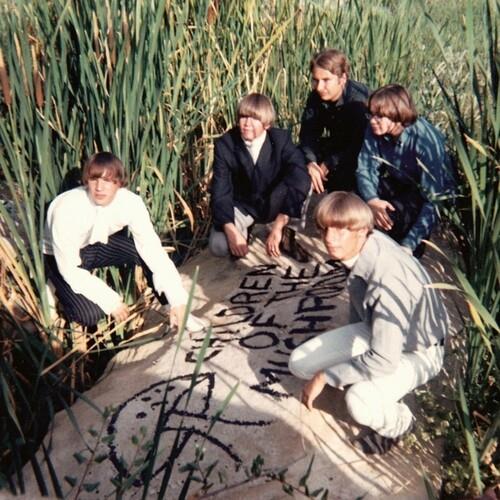 Children Of The Mushroom - Vinyl LP