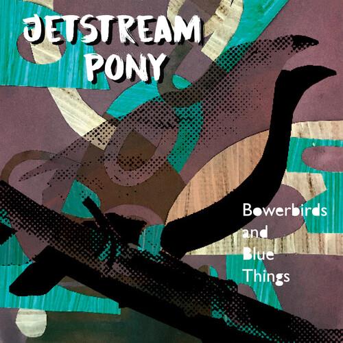 Bowerbirds And Blue Things - Vinyl LP