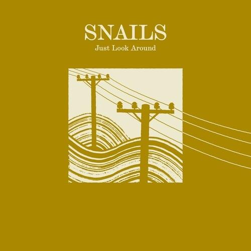 Just Look Around - Vinyl LP