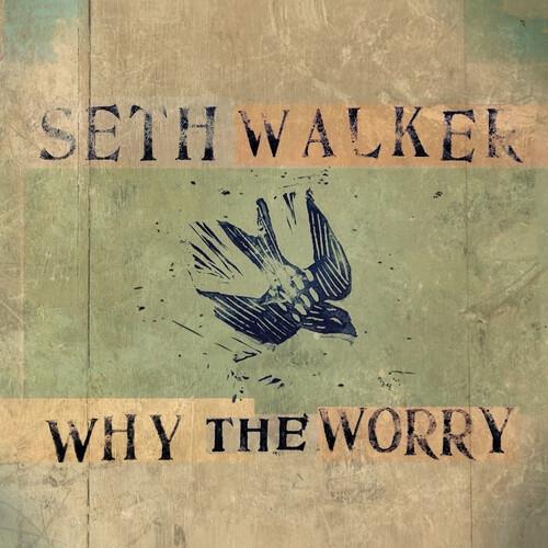 Why The Worry - Vinyl LP