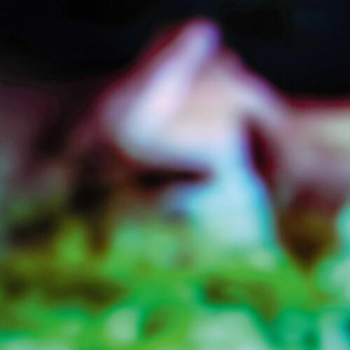Disc Rot - Vinyl LP