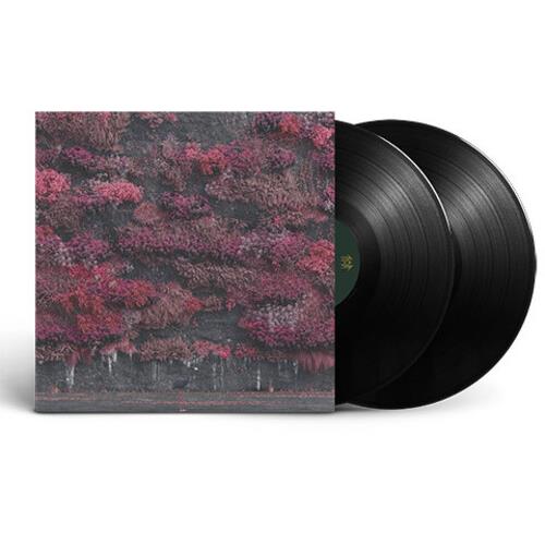 Even In Arcadia - Vinyl LP