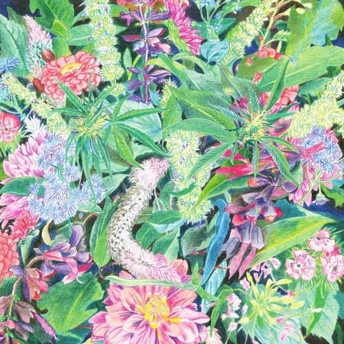 The Rising Wave - Vinyl LP