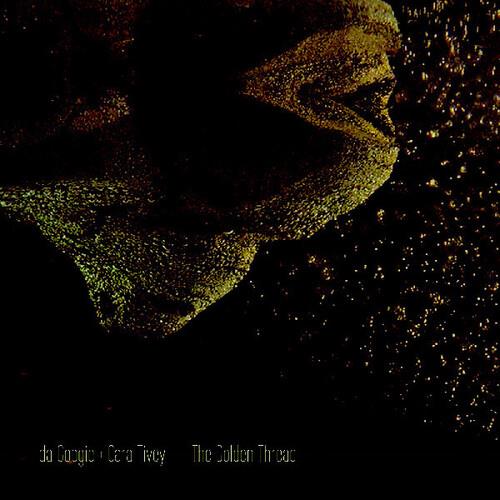 Abstract album cover with a golden textured face profile against a dark background
