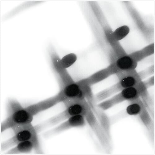 40:13.5 - Vinyl LP
