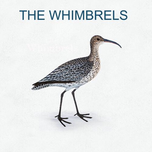 The Whimbrels - Vinyl LP