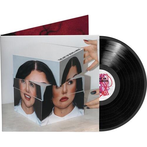 The Art of Being a Mess - Vinyl LP