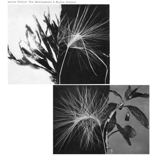 New Environments And Rhythm Studies - Vinyl LP