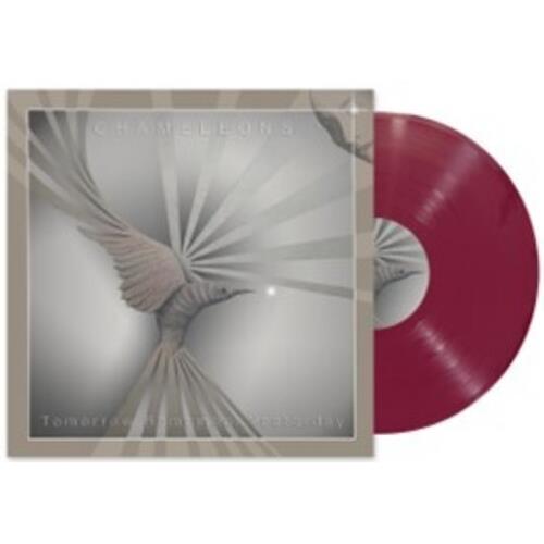 Tomorrow, Remember Yesterday EP - Ltd 180gm Red Vinyl - Limited Edition 12-Inch Single 180 Gram (Red)