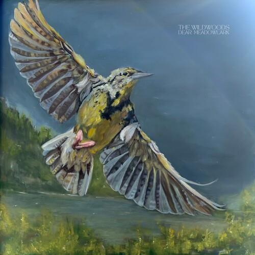 Dear Meadowlark - Vinyl LP