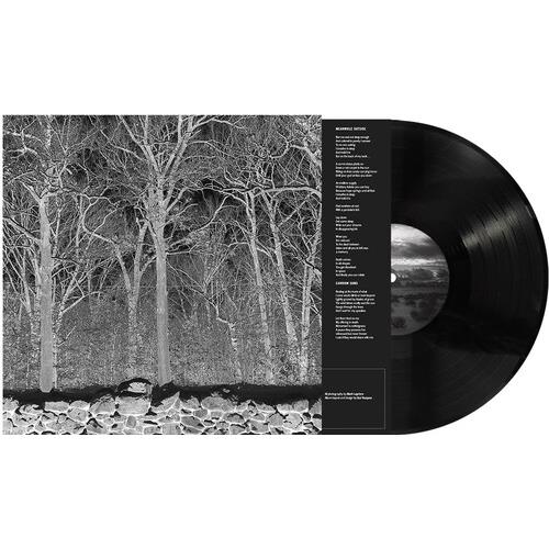 Sunshine and Balance Beams - Vinyl LP