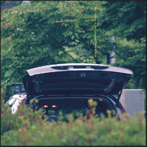 Pareidolia - Vinyl LP
