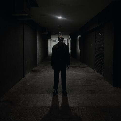 Domain - Vinyl LP