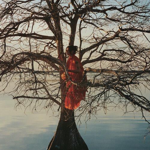 The Eldest Daughter - Vinyl LP