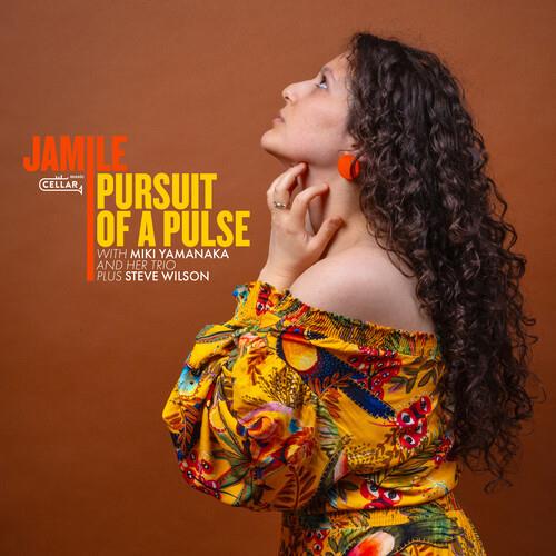 Pursuit Of A Pulse - Vinyl LP