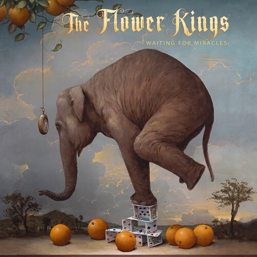 Waiting For Miracles - Vinyl LP 180 Gram